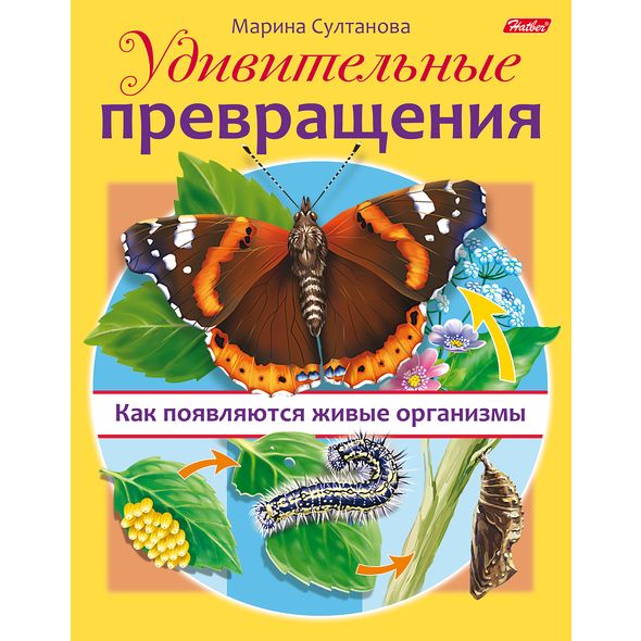 Книжка 8л А5ф цветной блок на скобе Удивительные превращения-Как появляются живые организмы- , 